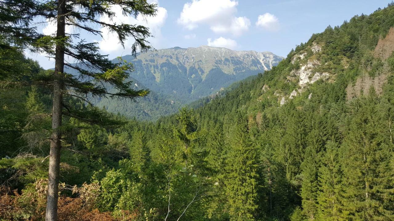 Rooms Mocilnik بيغونيي نا غورينيسكِ المظهر الخارجي الصورة